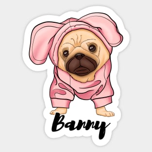 Cute pug puppy, pink bunny Sticker